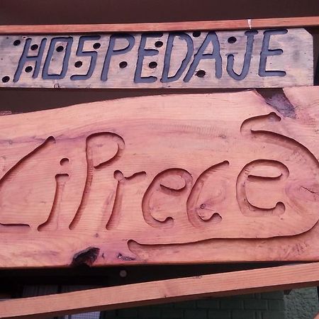 Hospedaje Los Cipreses Coyhaique Eksteriør bilde